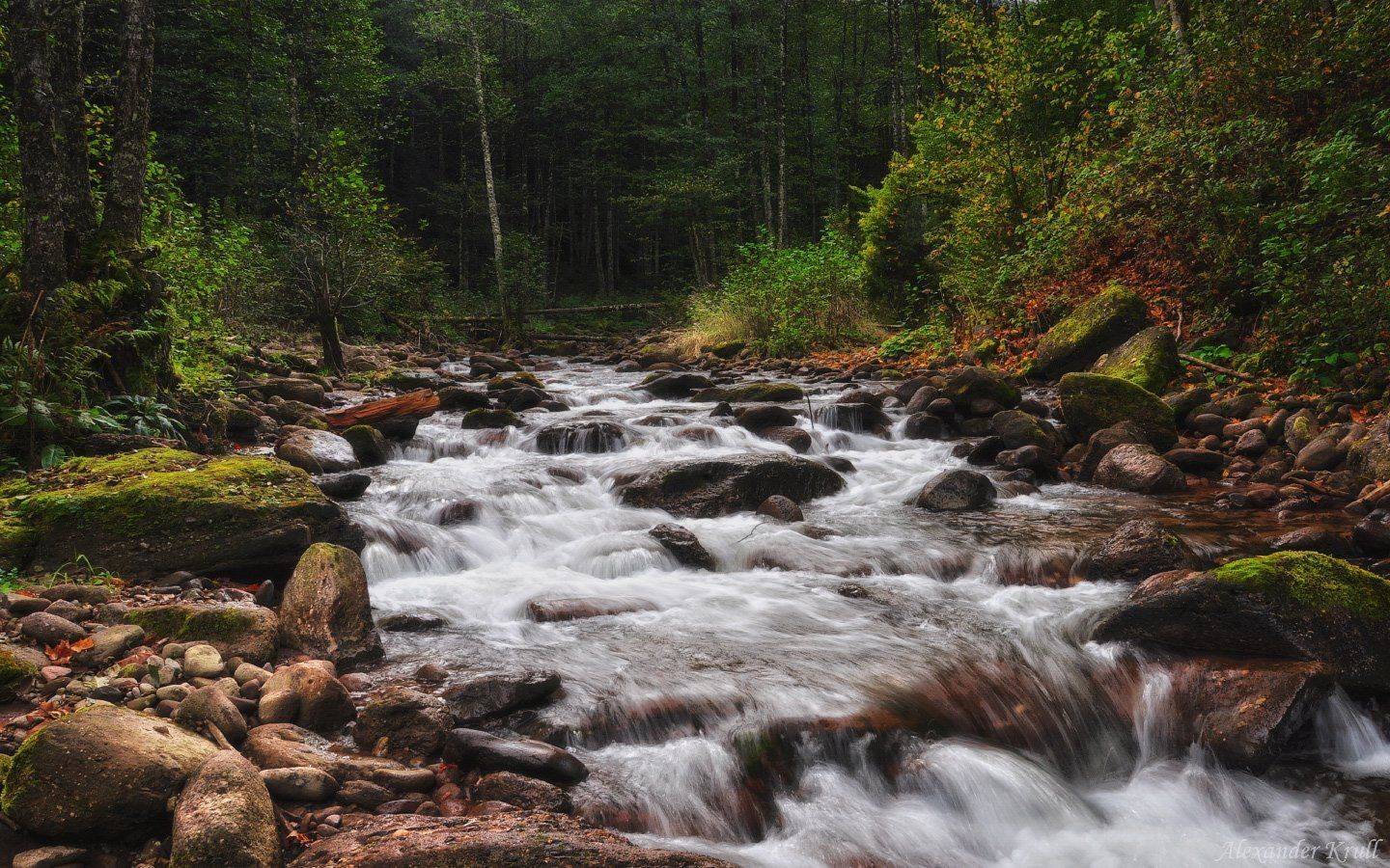 кавказ, кчр, Александр Круль