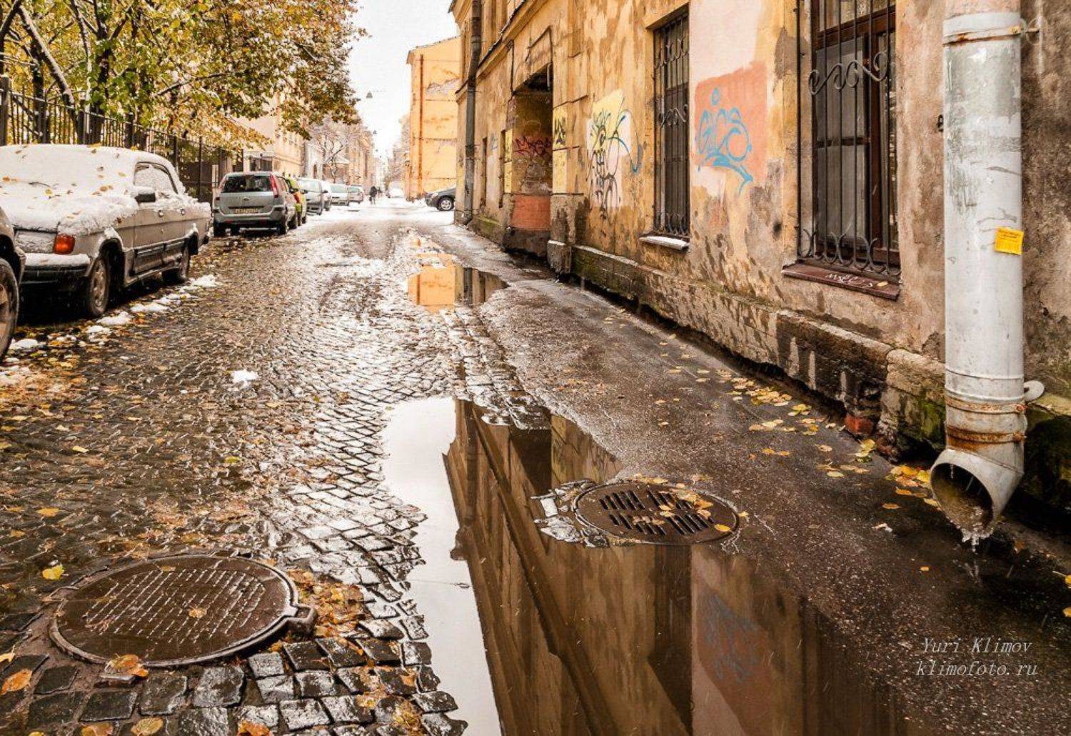 , Лунный Ежик