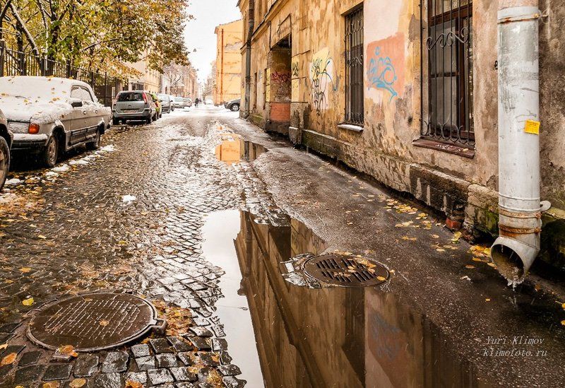 Однажды на улице Репина... фото превью