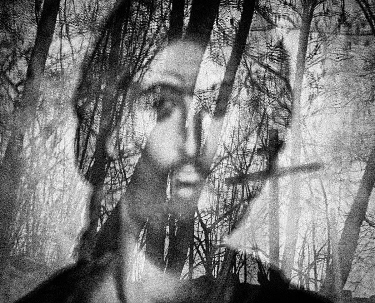 , Елена Лаврова