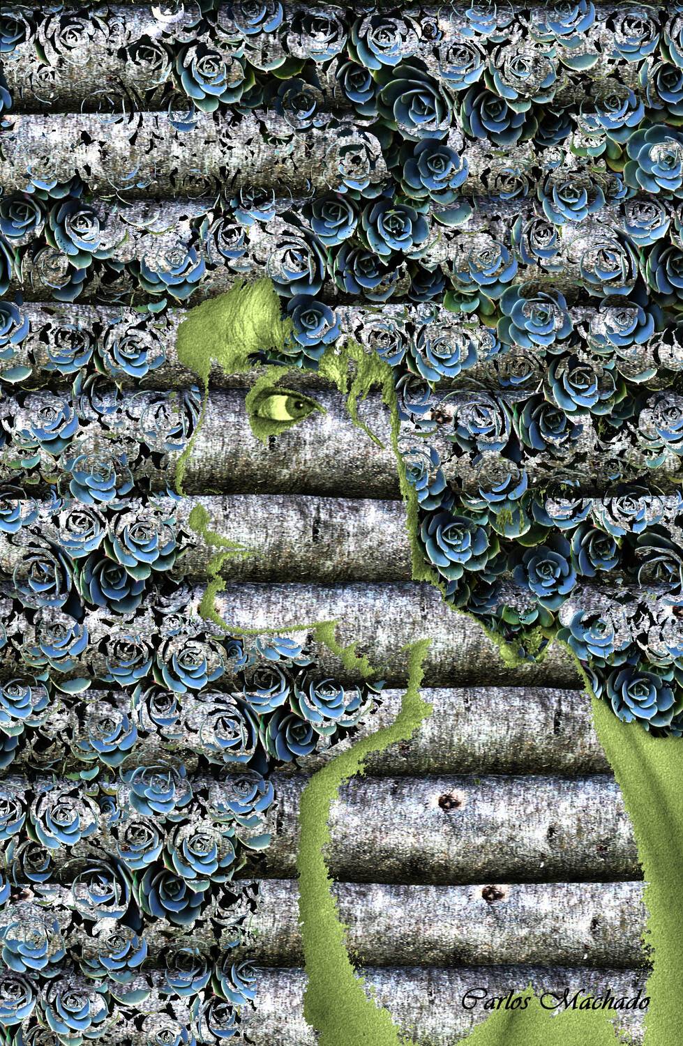 Portrait, Art Photo, , Carlos Machado