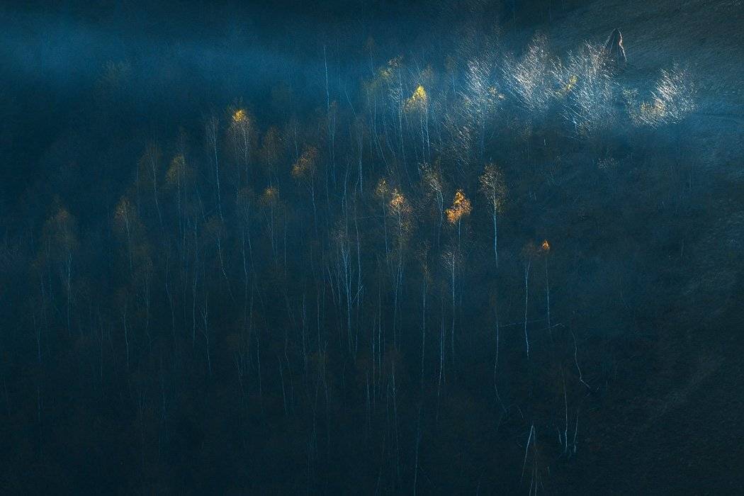 , Stefan Chirobocea