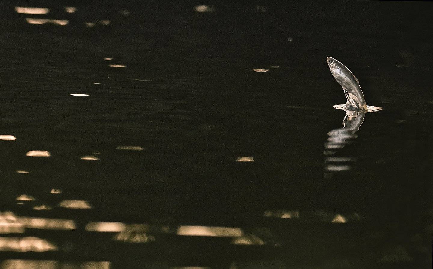 Out of this world, KIM SUK EUN