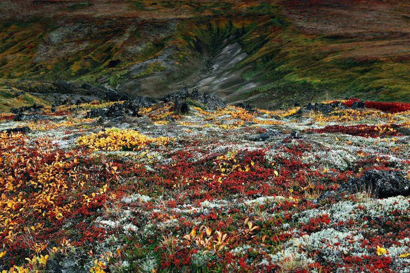 Ковер, ручная работа... фото превью