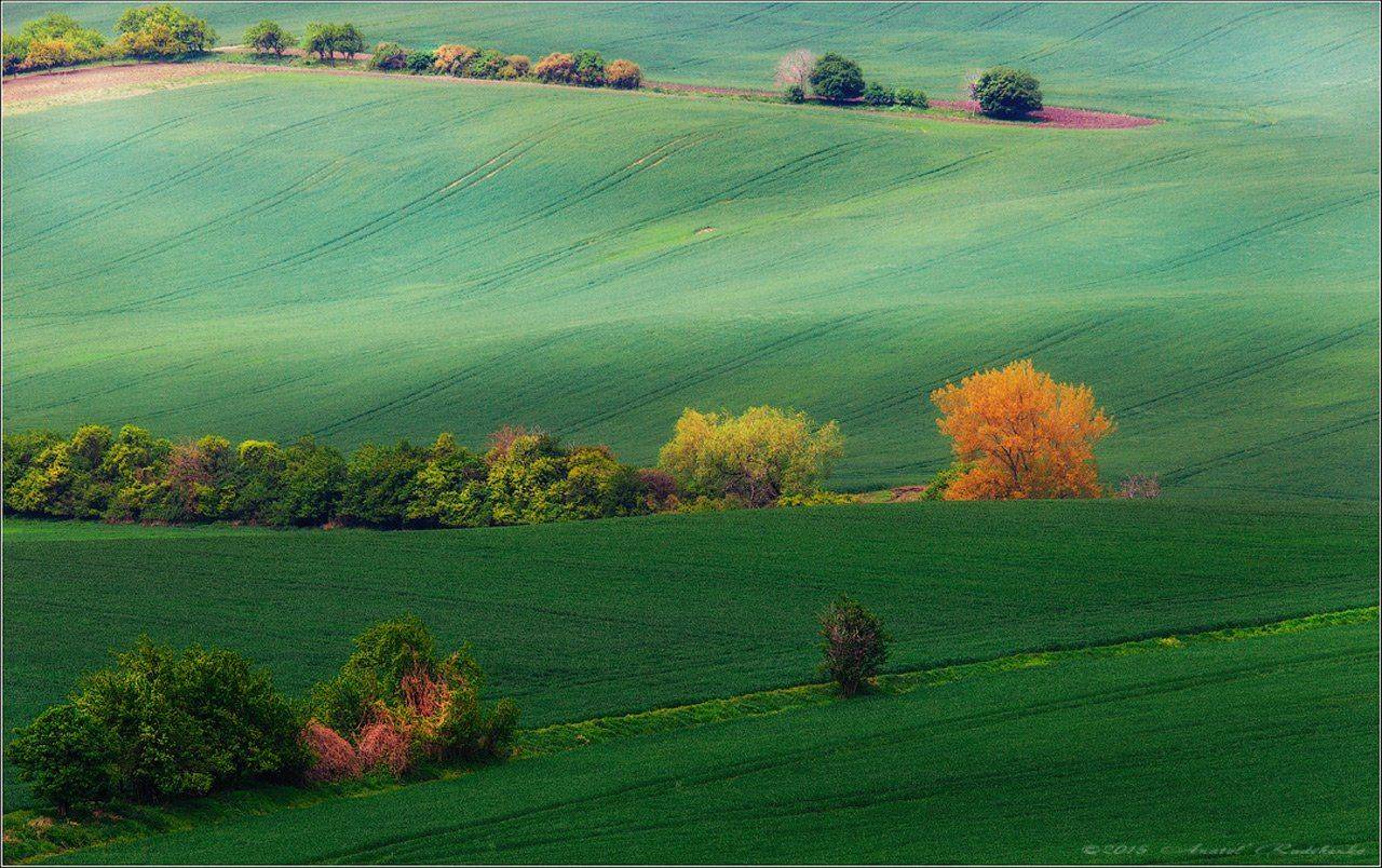 Природа.пейзаж.чехия, Рудченко Анатолий
