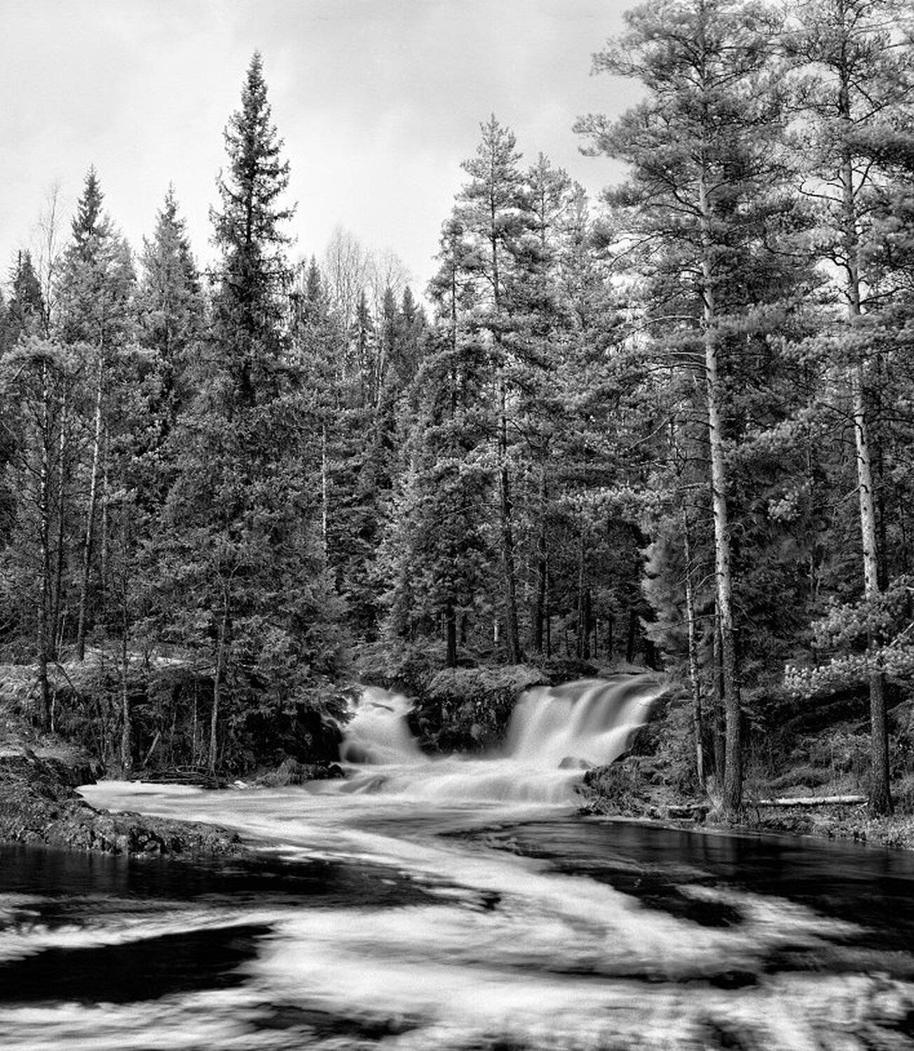 пленка пейзаж , Аркаша