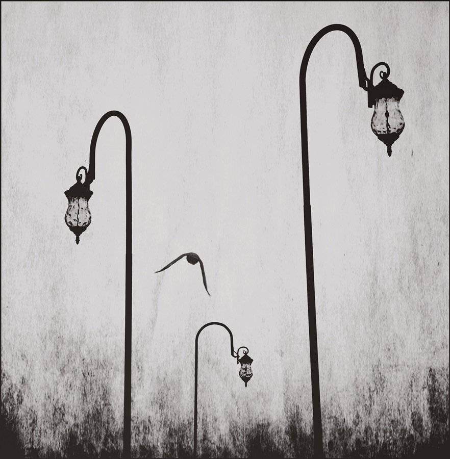 , Krzysztof Trojanowski