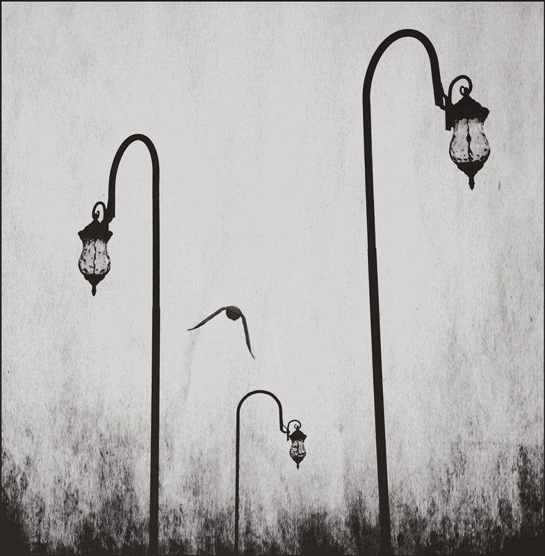 ... фото превью