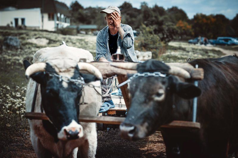 *** фото превью