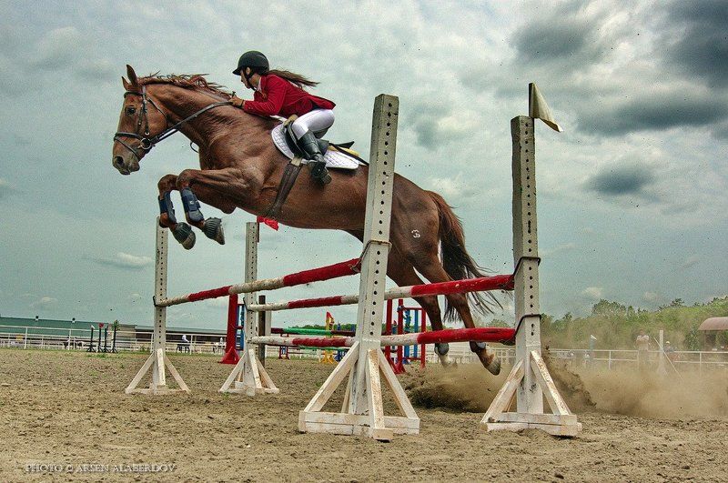 Барьер, Жокей, Карачаево-Черкесия, Конкур, Конный спорт, Конь, Лошади, Лошадь, Наездник, Северный Кавказ, Скачки ПОЛЁТ фото превью