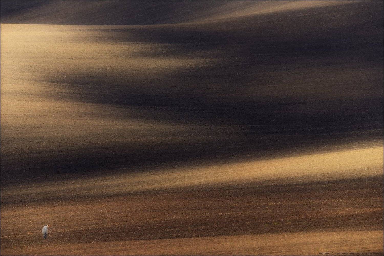 Czech, South Moravia, Геометрия, Линии, Моравия, Свет, Цапля, Чехия, Южная Моравия, Влад Соколовский