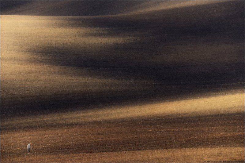 Czech, South Moravia, Геометрия, Линии, Моравия, Свет, Цапля, Чехия, Южная Моравия / Генерал песчаных карьеров / фото превью