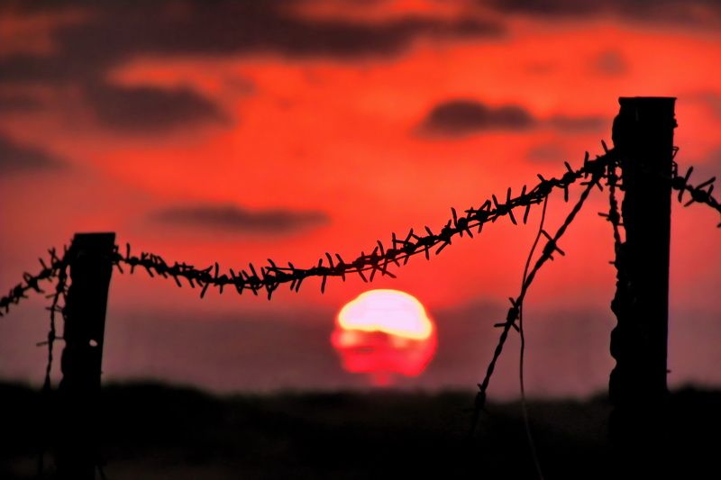 Через тернии... фото превью