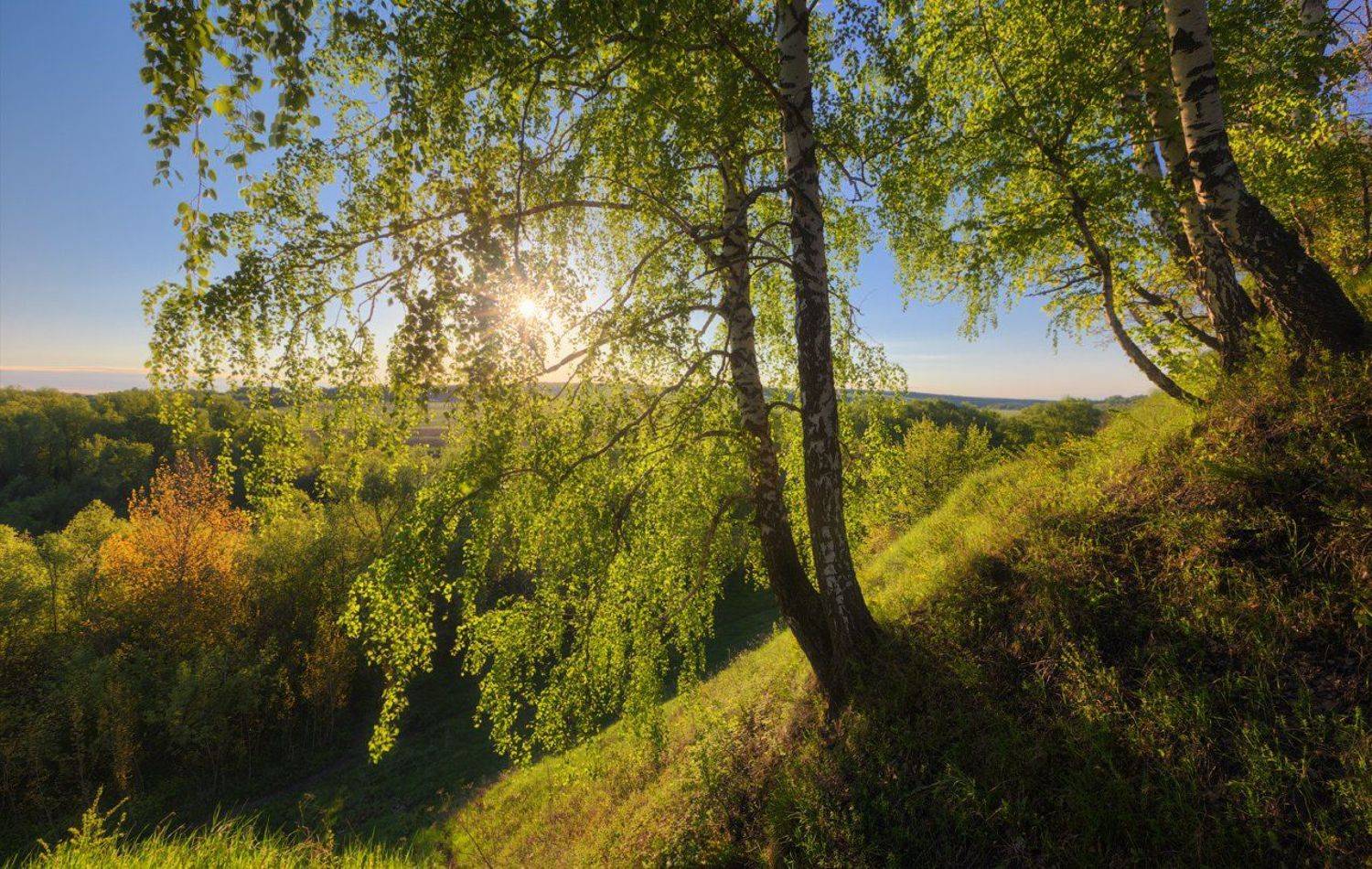 , Денис Сорокин