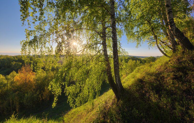 *** фото превью