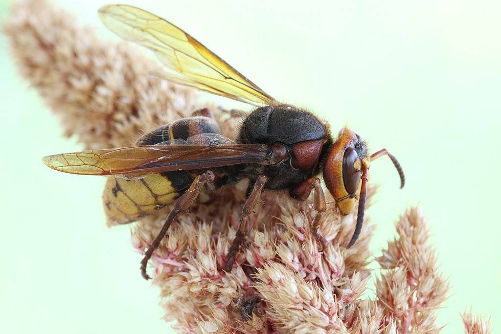 , Сергей Таланов