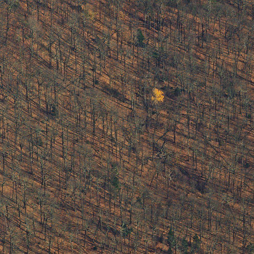 , Сидоренко Алексей