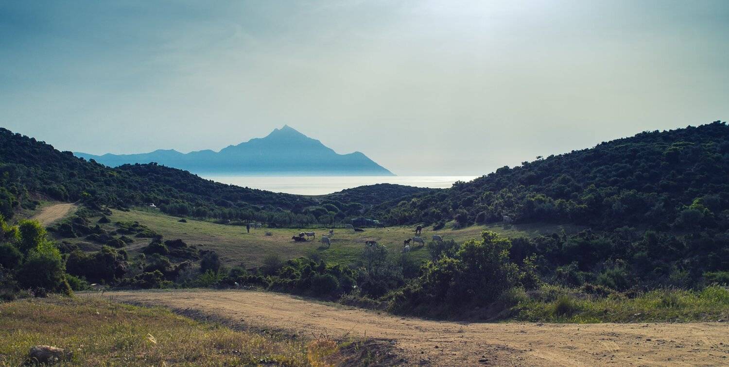 landscape, sithonia, miroslav disanski