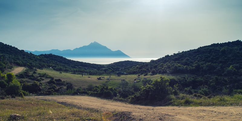landscape, sithonia sithonia фото превью