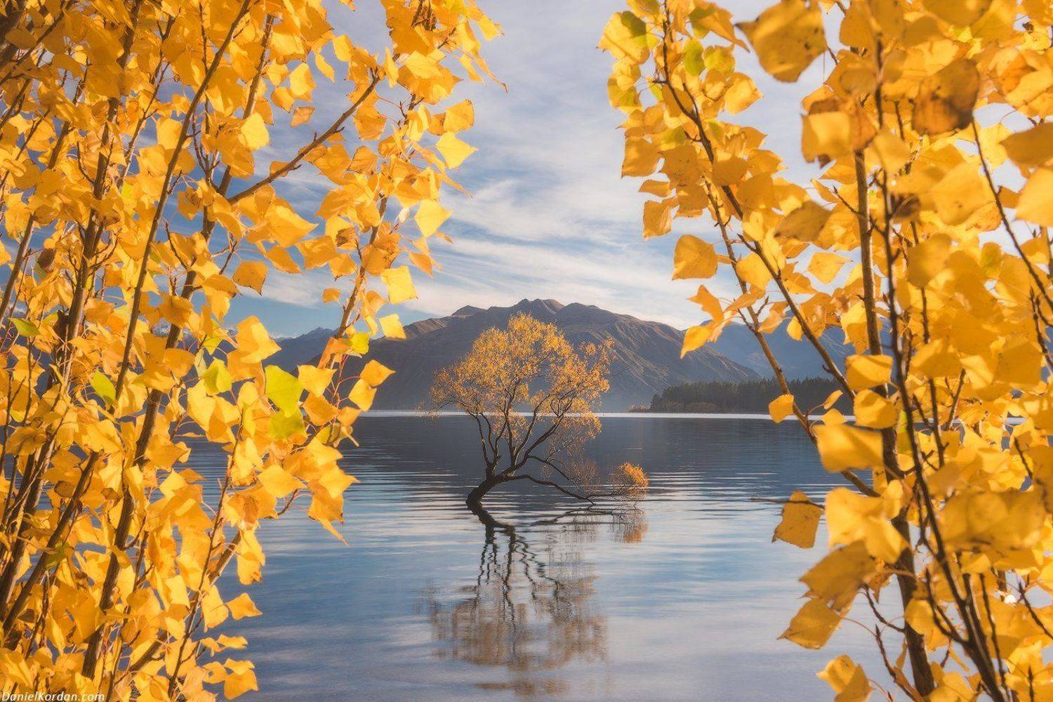 Новая Зеландия, Даниил Коржонов