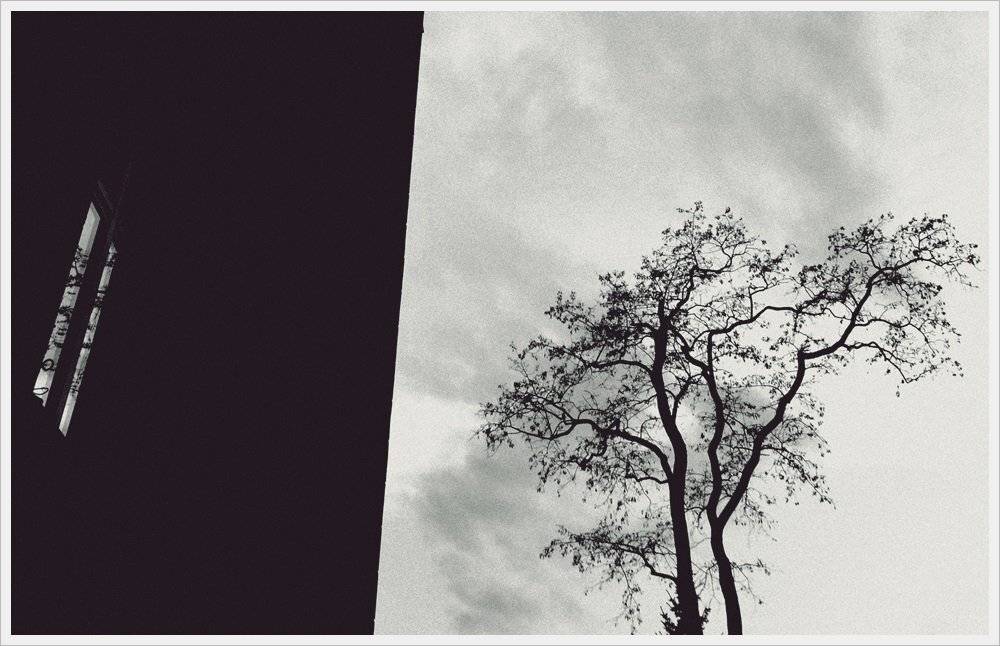 , Krzysztof Trojanowski