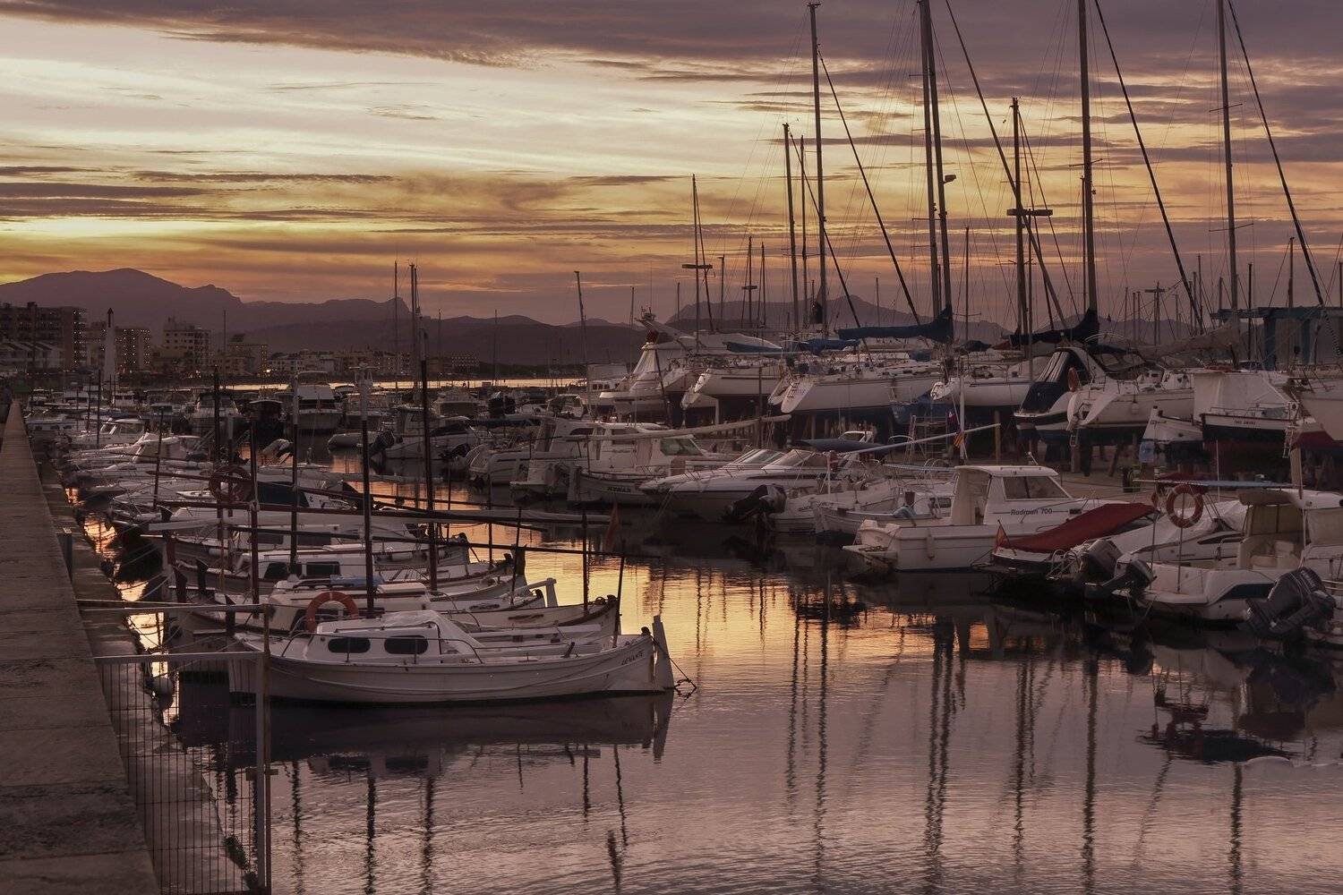 , Игорь Дубровский