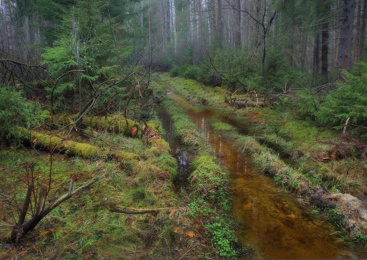 , Дмитрий Алексеев