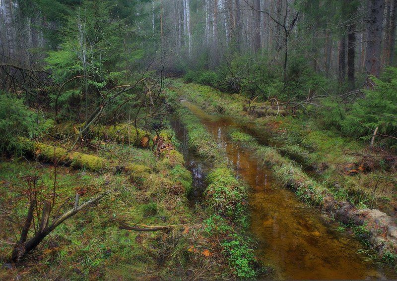 Ранневесенняя фото превью