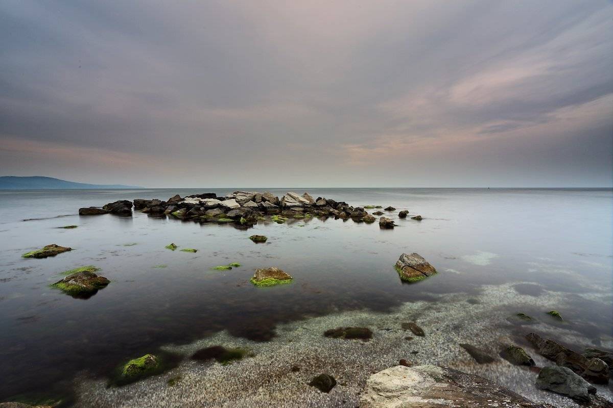 , Александър Сандев