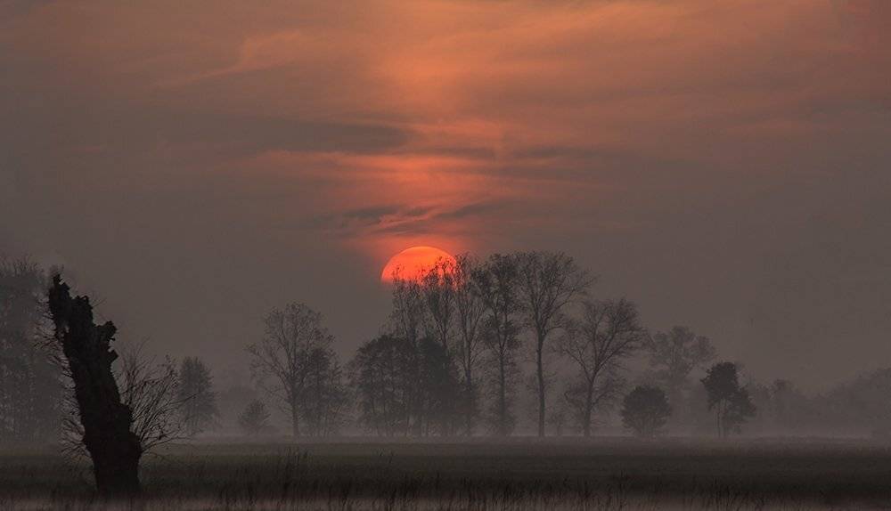 , Pawel Plucinski