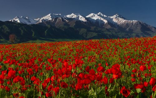 Этюд с мокрыми ботинками