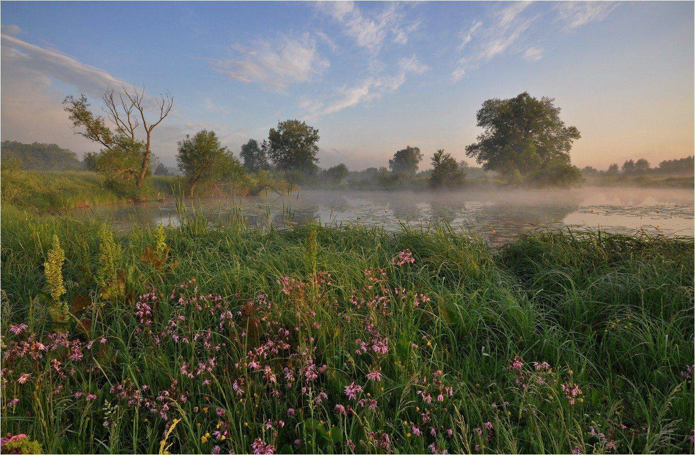 , Володимир Карчевський