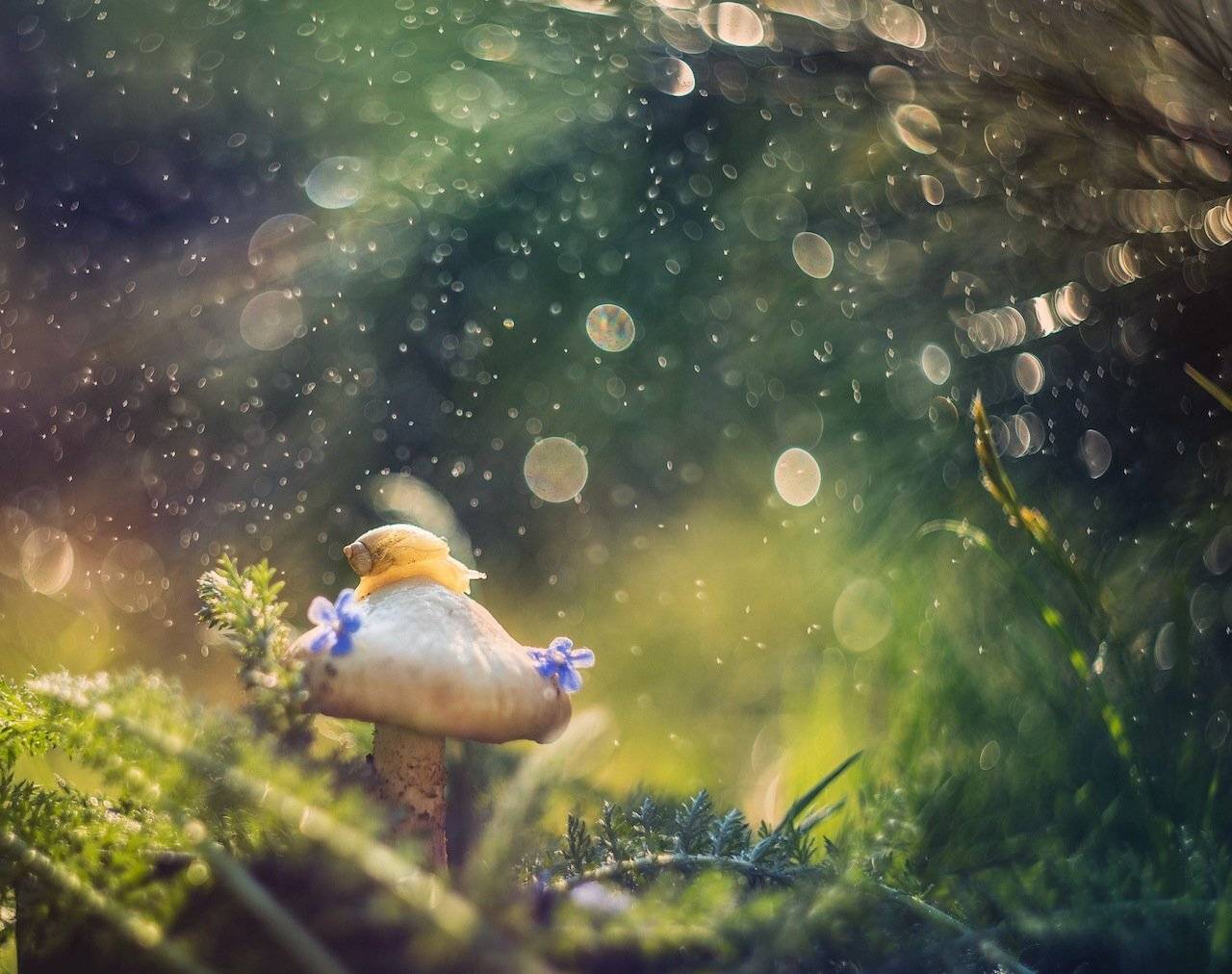 , Екатерина Науменко