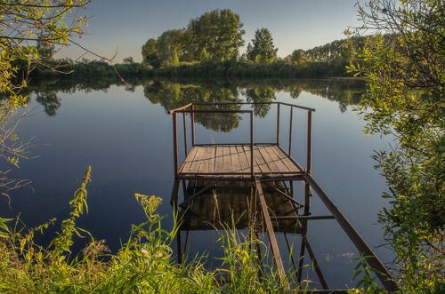Окно в природу