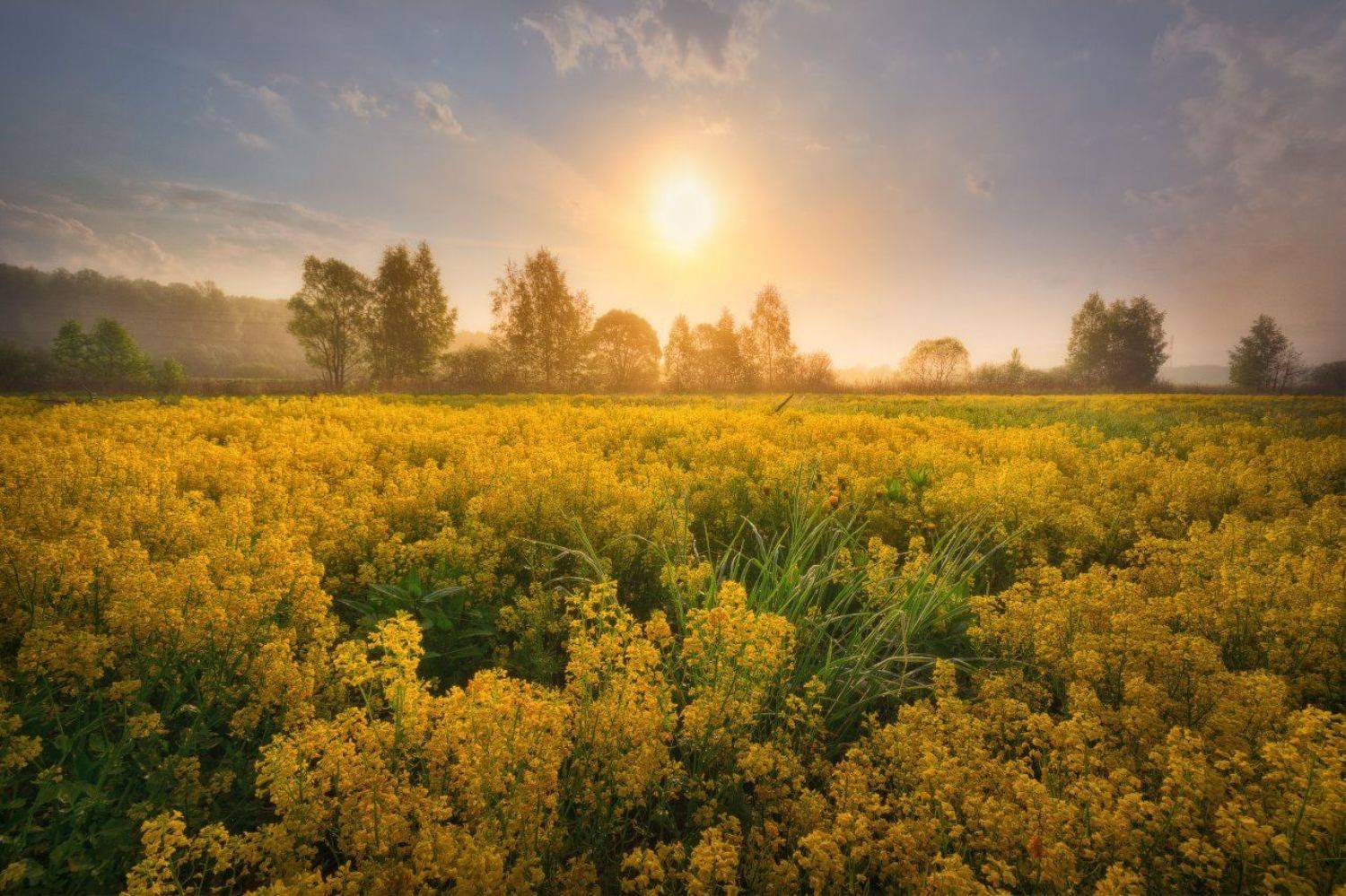 , Жмак Евгений