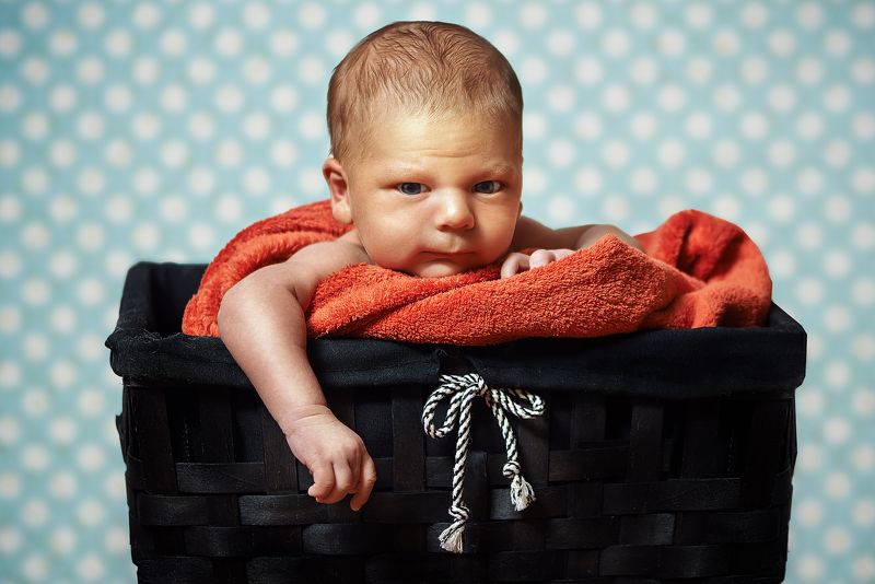 ребенок, новорожденный, 20 дней, первый месяц, корзина, сын Маленький большой фото превью