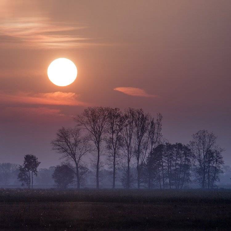 , Pawel Plucinski