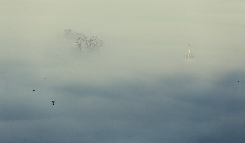 heavenly morning фото превью