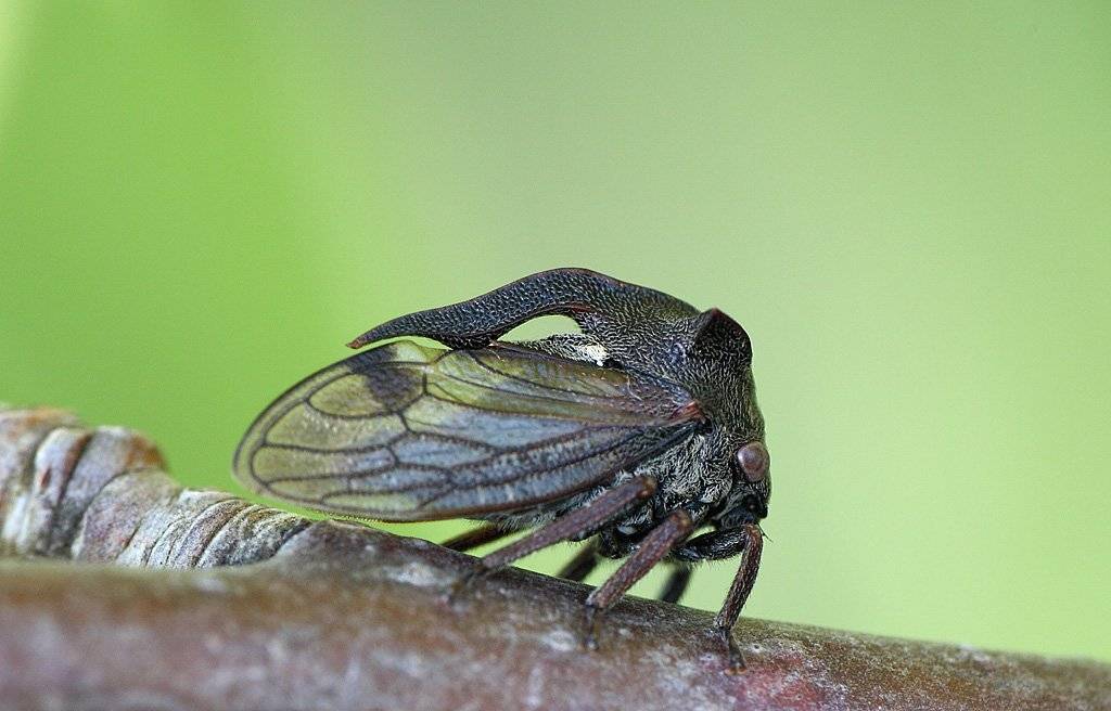 , Сергей Таланов