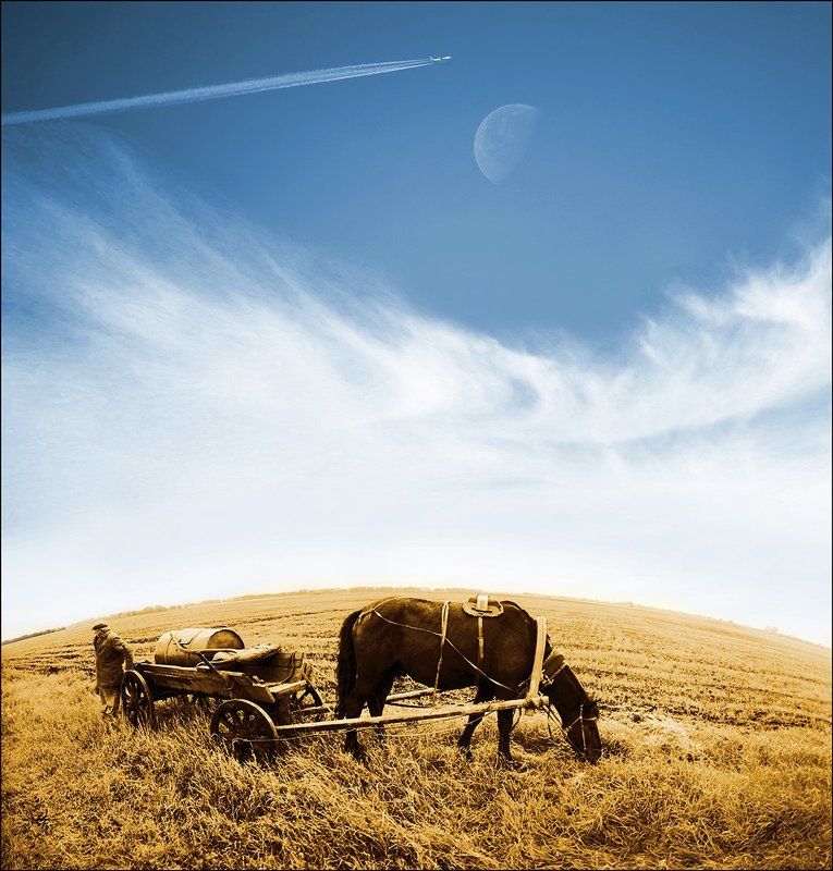 Лошадь водовоз, Луна, Небо, Самолет Чартер на Урумчи.. фото превью