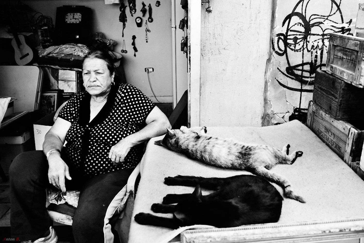 , Антон Бондаренко