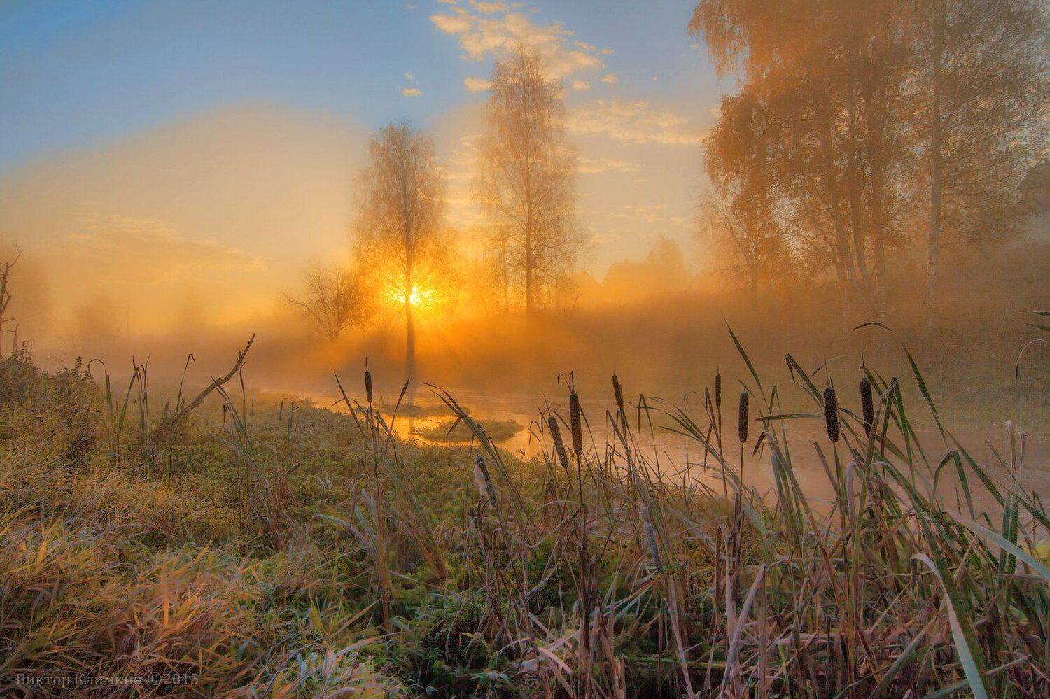 Рассвет, Река, Рогоз, Солнце, Туман, Утро, Виктор Климкин