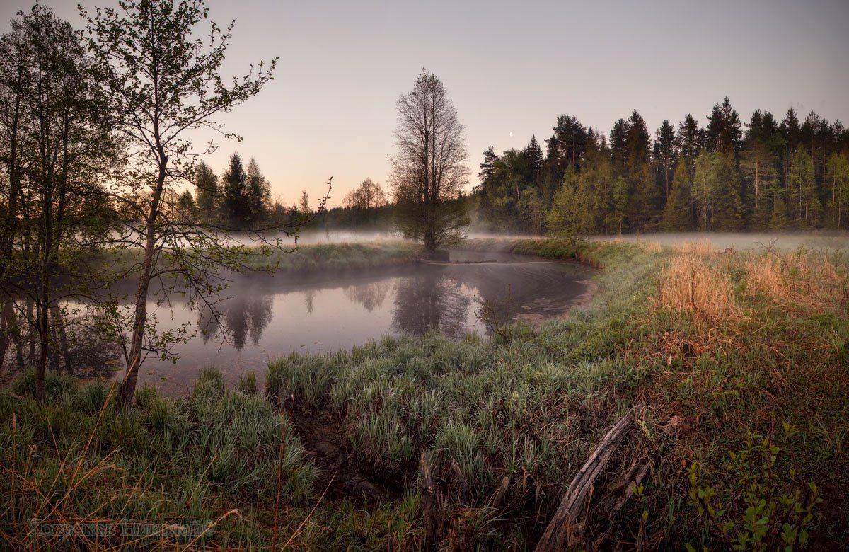 , Хохряков Николай
