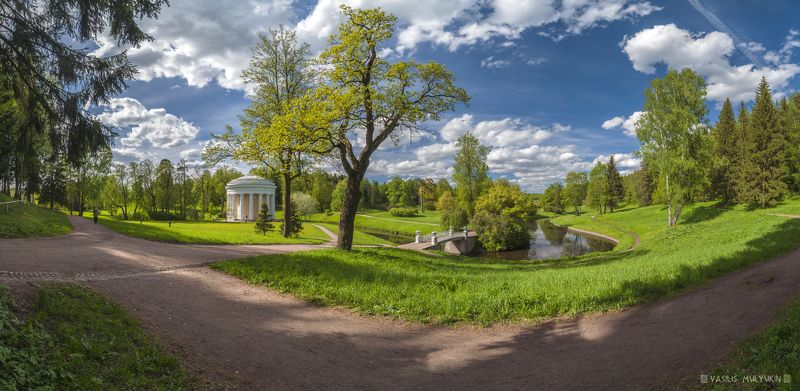 В Павловском парке ... фото превью