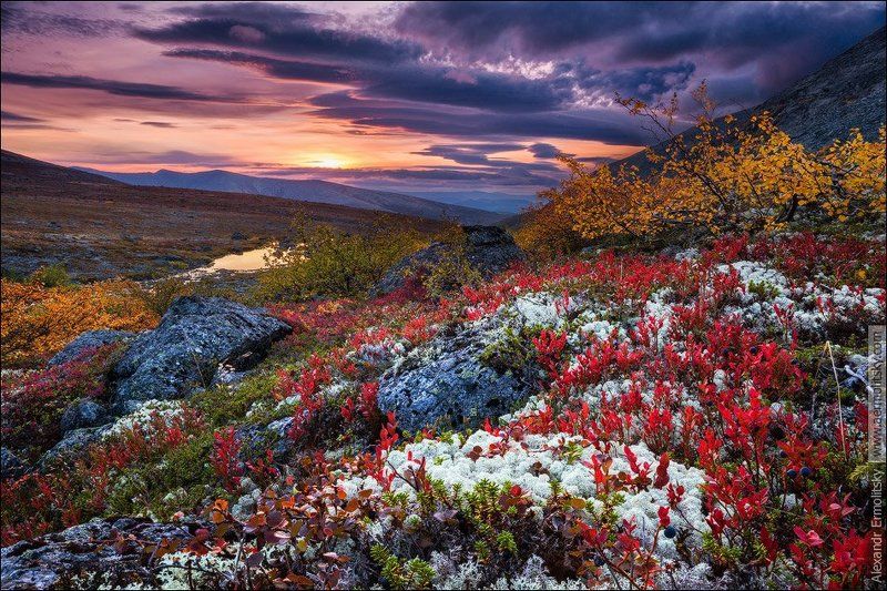 Хибины, Khibiny ~ Хибинская сокровищница ~ фото превью