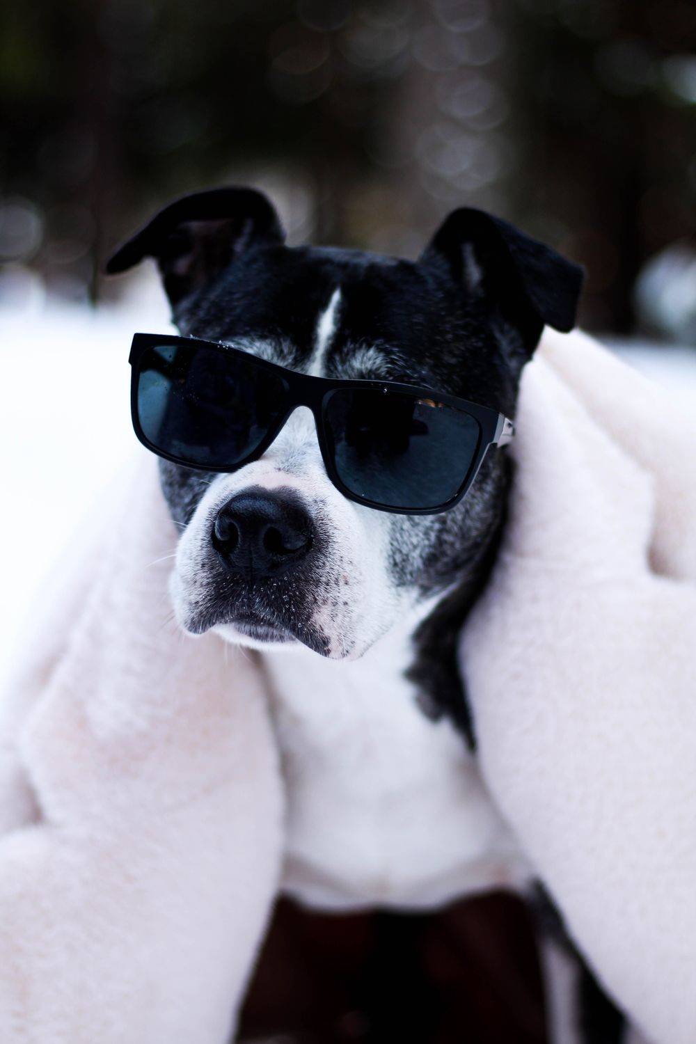 , Евгений Белов