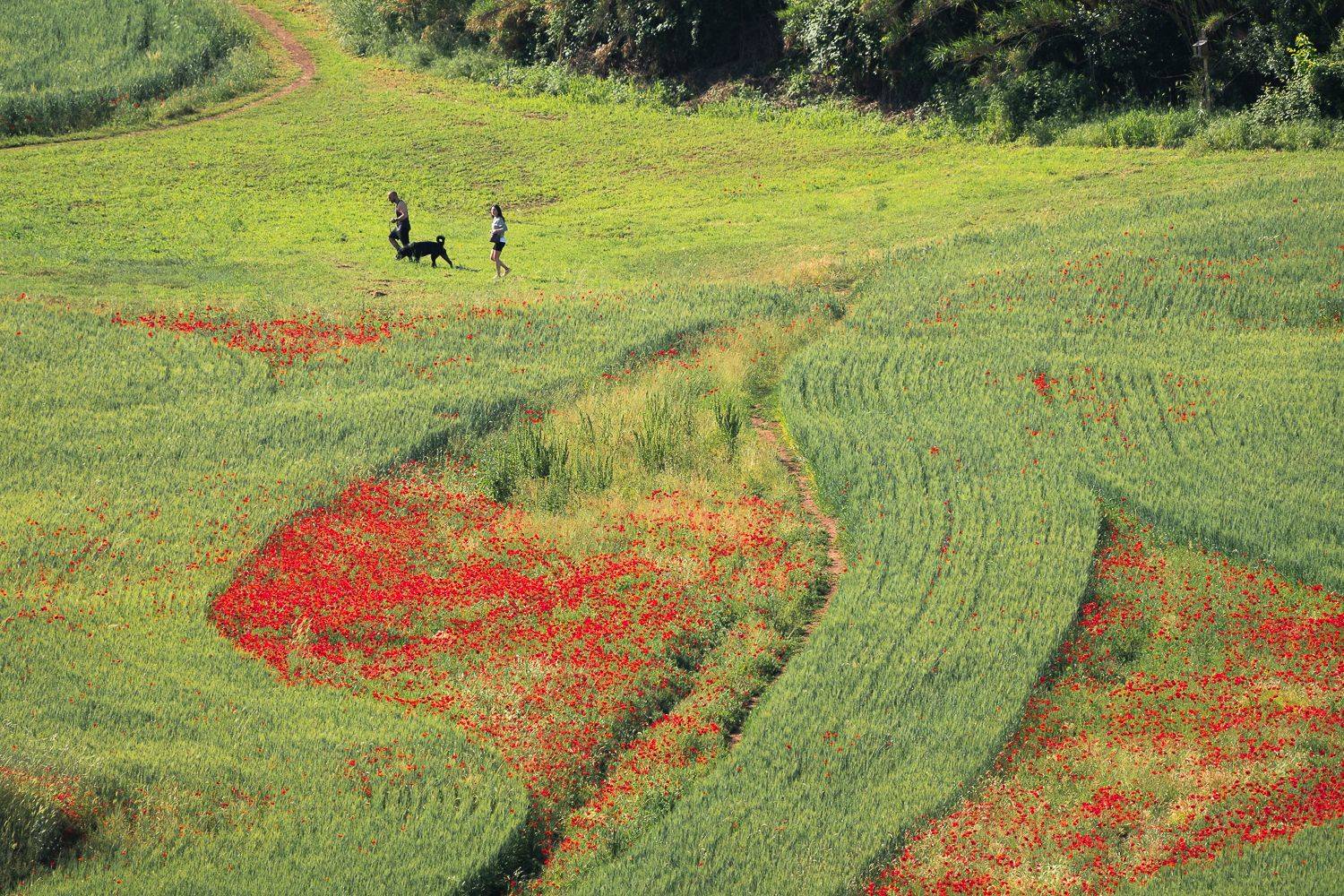 , Максимова Дария