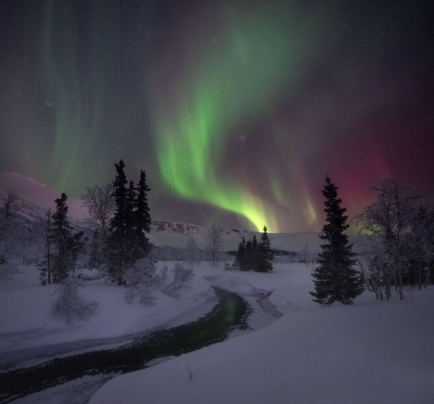 , Виталий Истомин