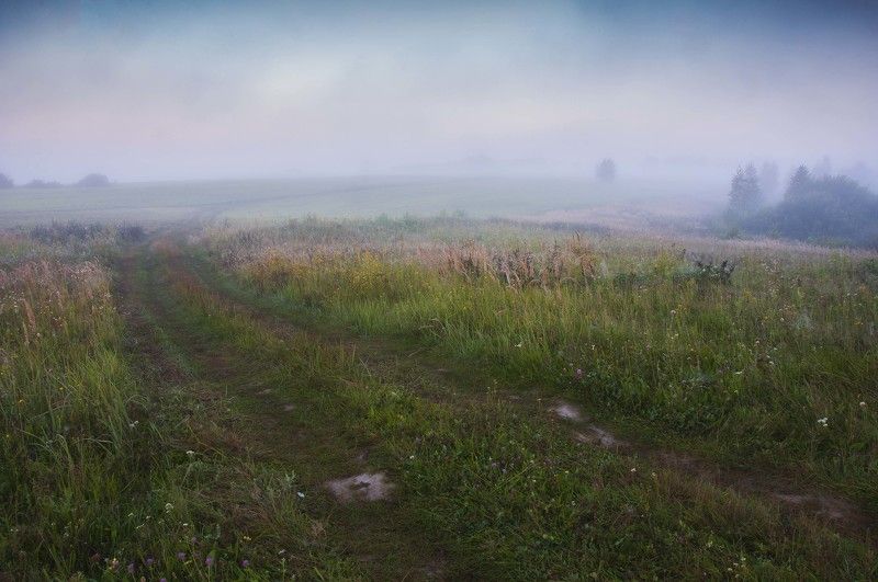 туман,лето,природа,пейзаж,россия,поля Утро туманное фото превью