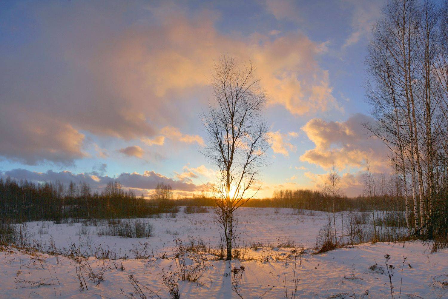 закат , зима , поле ,лес, Александр Свистков
